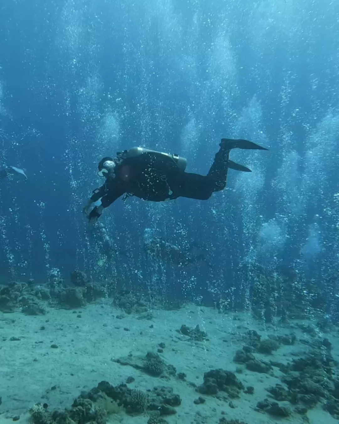 Scuba diving începători - Târgu Secuiesc