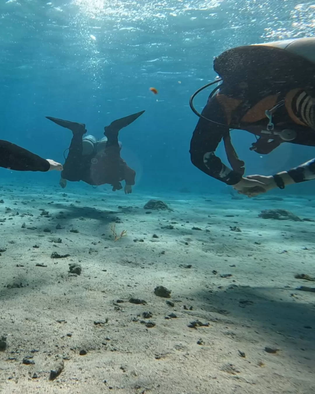 Scuba diving începători - Târgu Secuiesc