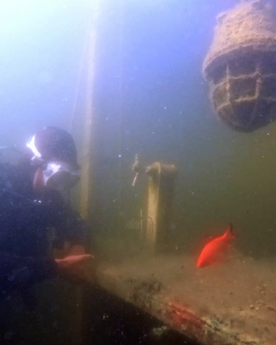 Scuba diving la barul subacvatic - Târgu Secuiesc